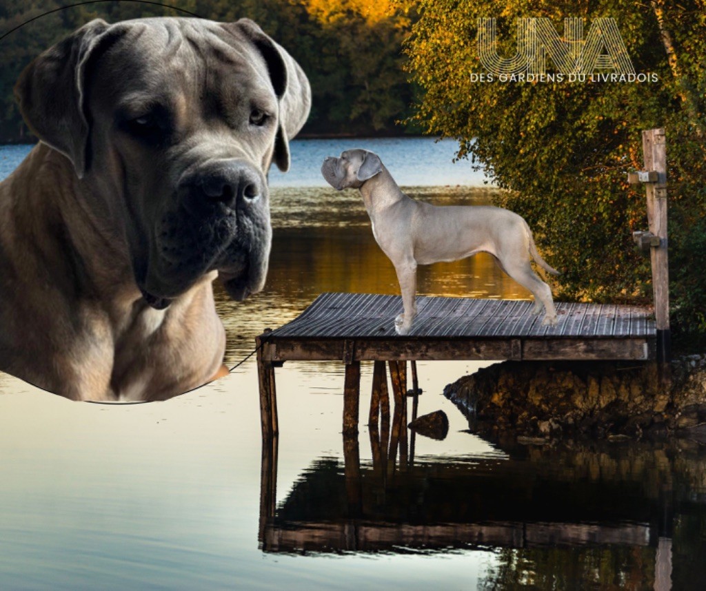 Una Des Gardiens Du Livradois